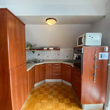 - Huge Terrace, Free P, Wi - Fi, Ac Apartment Kranj