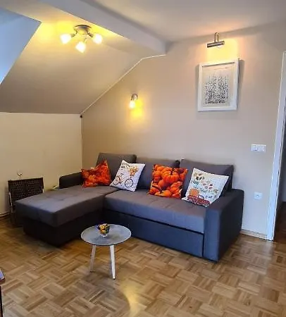 Apartment - Huge Terrace, Free P, Wi - Fi, Ac Kranj