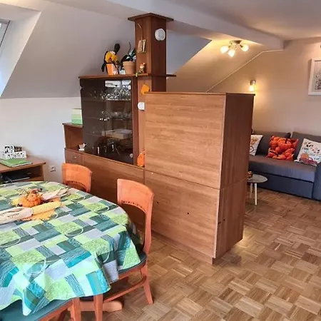 - Huge Terrace, Free P, Wi - Fi, Ac Apartment Kranj