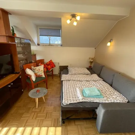 - Huge Terrace, Free P, Wi - Fi, Ac * Kranj